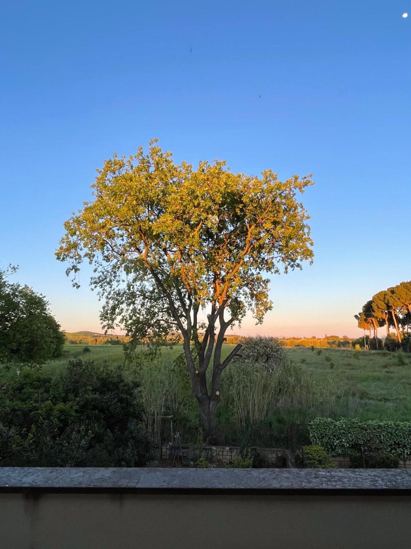 La Quercia Holiday Home Capalbio Exterior photo