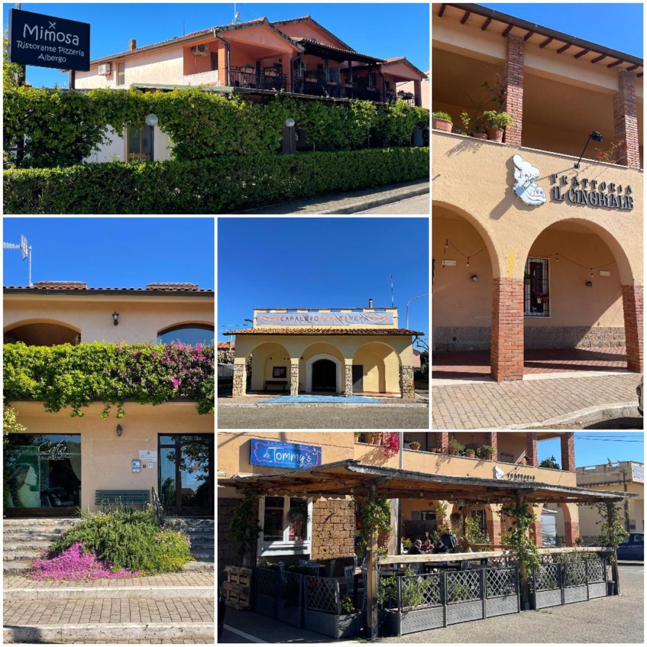 La Quercia Holiday Home Capalbio Exterior photo
